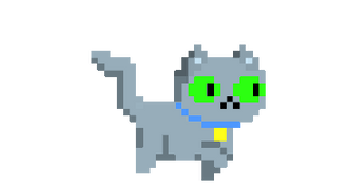 Cute Gray Cat
