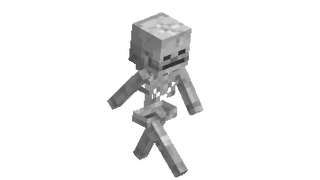 Minecraft Skeleton Walking