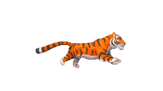 Tiger Running