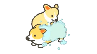 Cute Corgi Bath Time