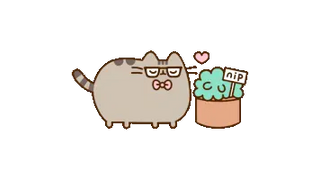 Pusheen Cat Loves Nip