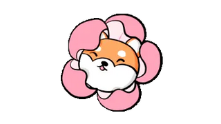 Cherry Blossom Shiba Inu Kawaii