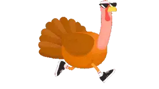 Thanksgiving Turkey Run