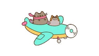 Pusheen with Stormy on a Plane