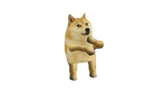 Doge Dance Meme
