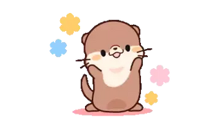 Cute Otter